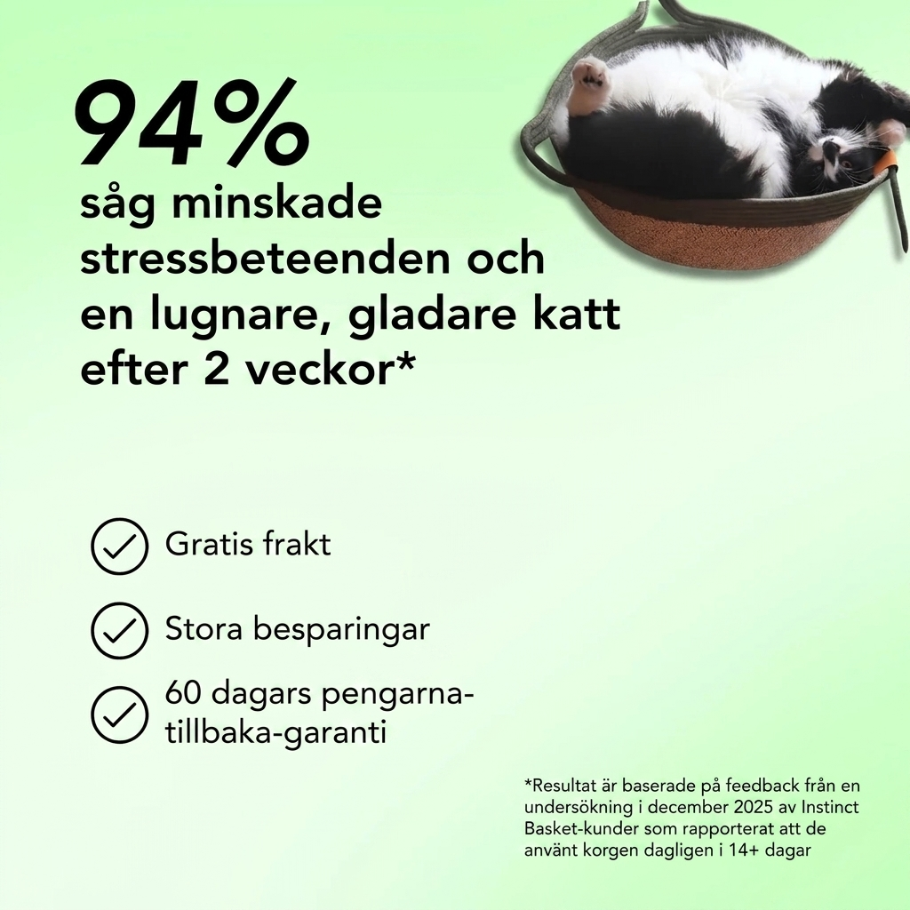 Sensicat | Den första forskningsbaserade naturplatsen för innekatter
