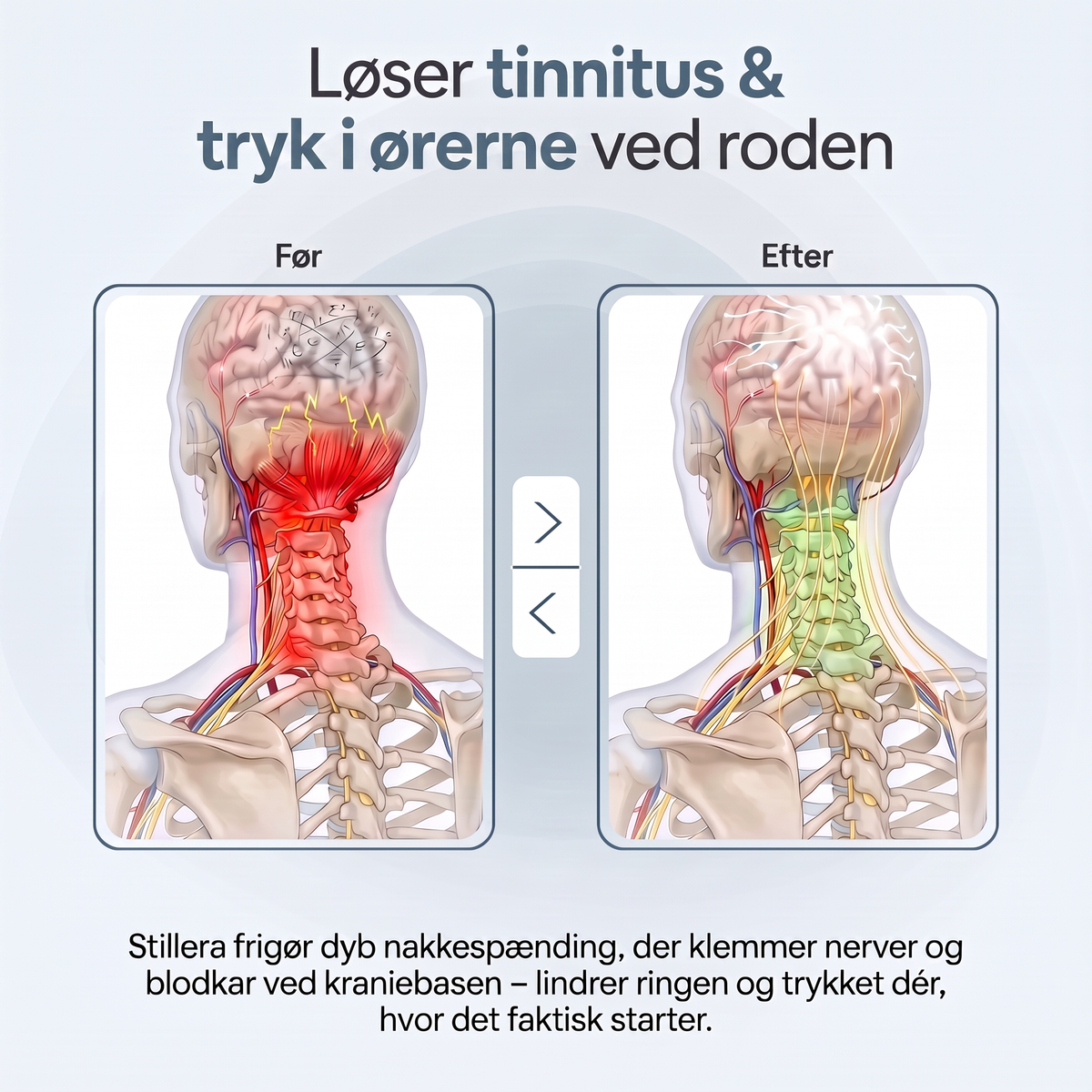 Døjer du med øresus, der aldrig giver sig?