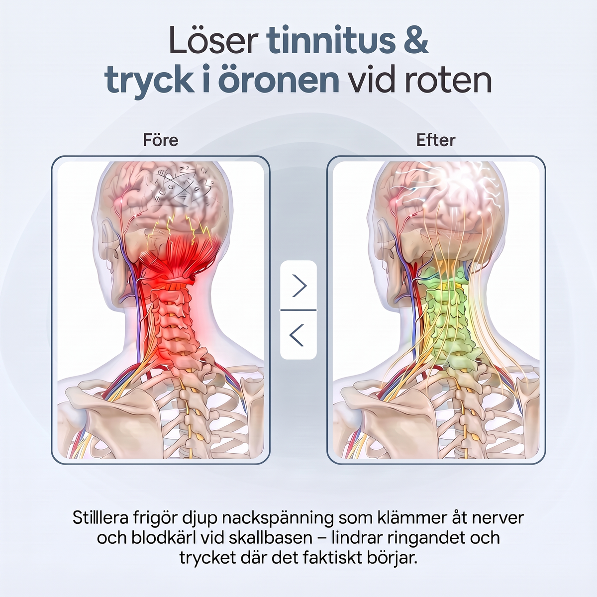 Sliter du med øresusen, der aldrig forsvinder?